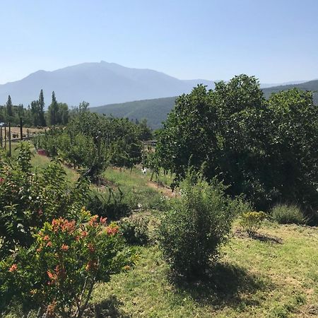Appartement Els Pirineus Molitg-les-Bains Extérieur photo