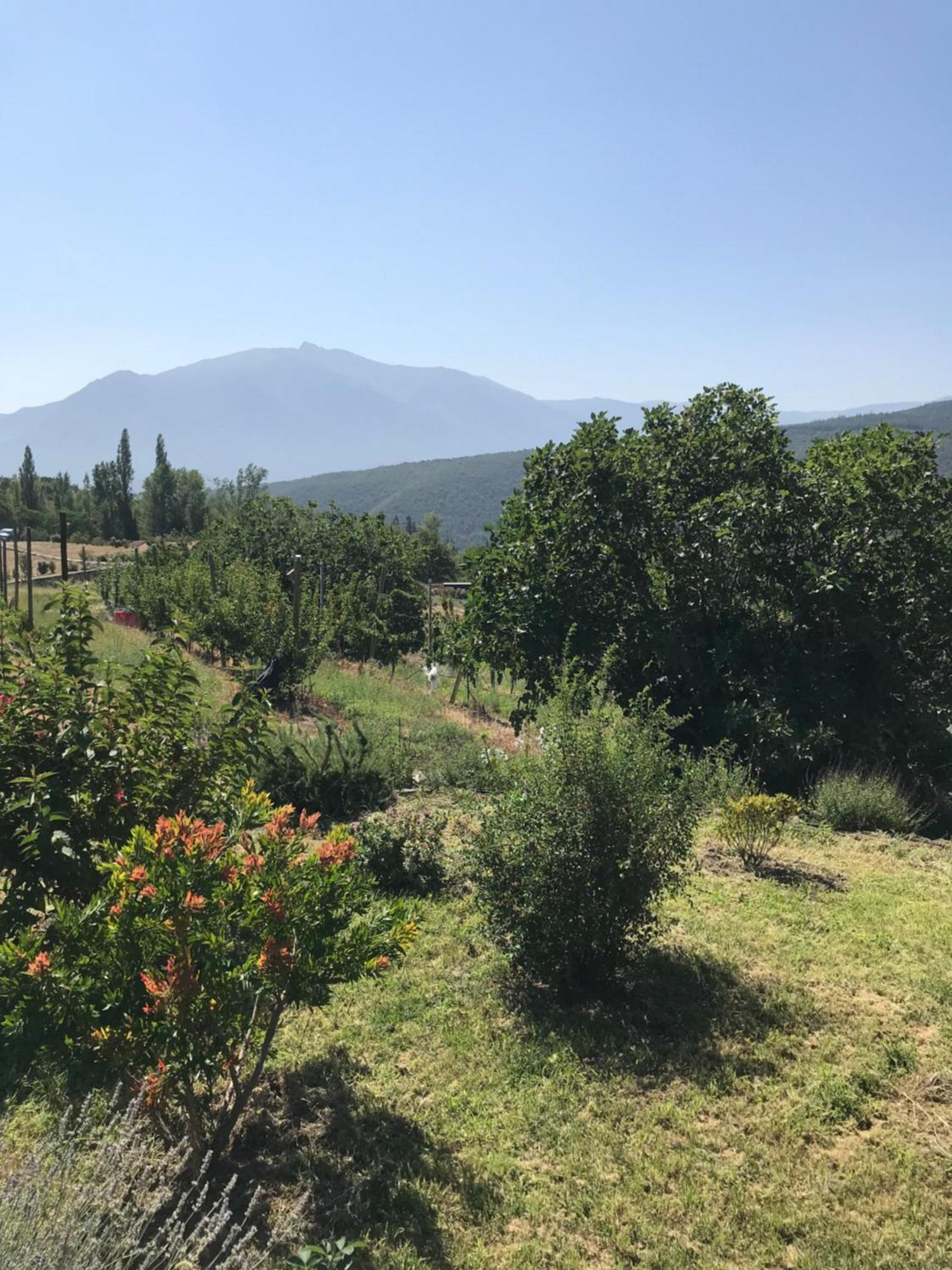 Appartement Els Pirineus Molitg-les-Bains Extérieur photo